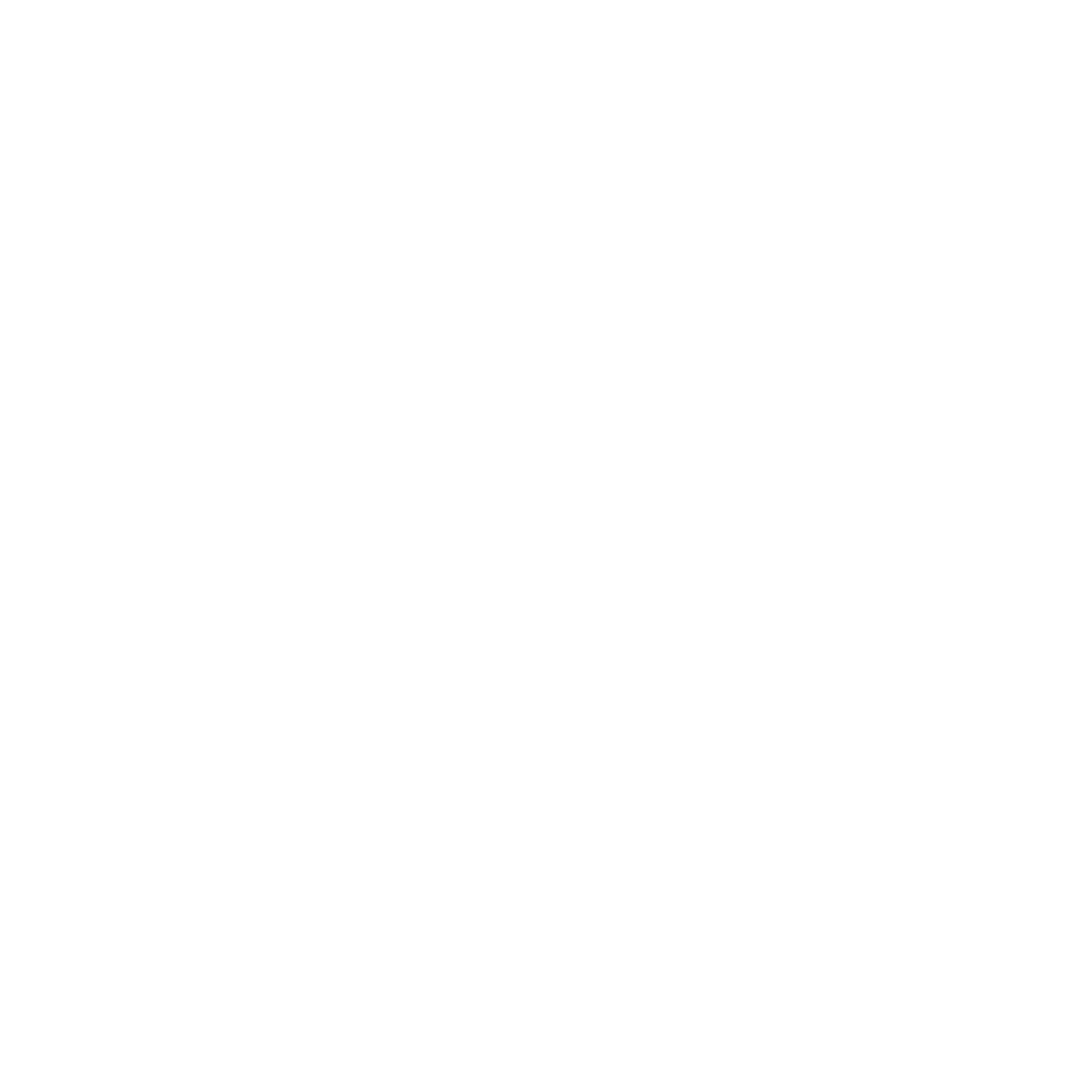Citi Business Solutions